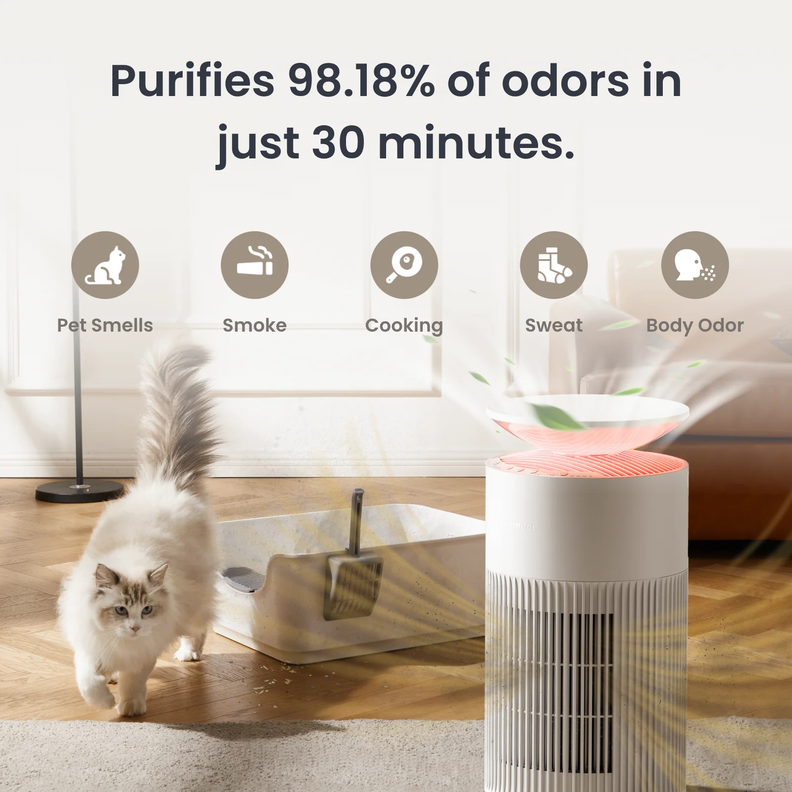 SwitchBot Air Purifier CO2 Monitor Combo - Image 5